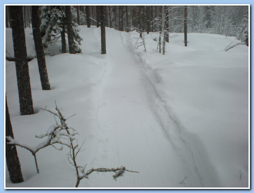 helmikuu2011 010